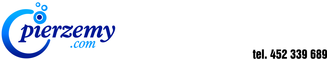 Pranie tapicerek samochodowych i meblowych, dywanów i wykładzin oraz wnętrza pojazdów - logo